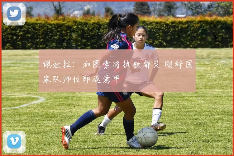佩杜拉：加图索将执教都灵 刚辞国家队帅位即返意甲